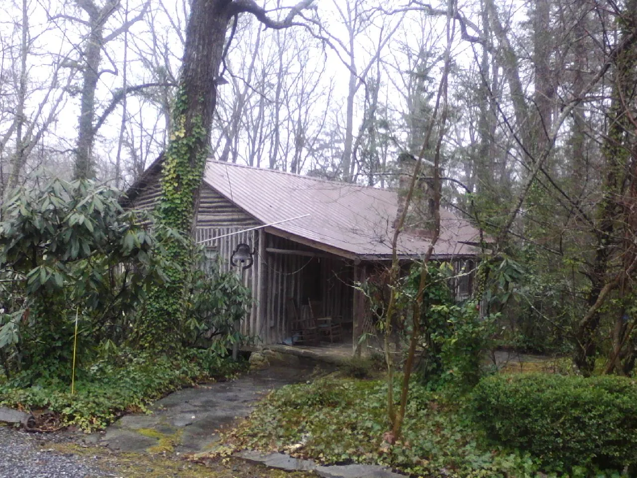 Weathered metal roof on an old board sided cabin in the woods in Lebanon